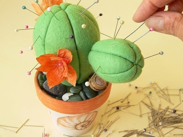 Игольница-кактус