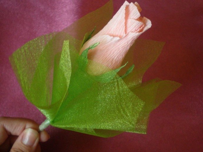 ​Розы в упаковке из полупрозрачных лент