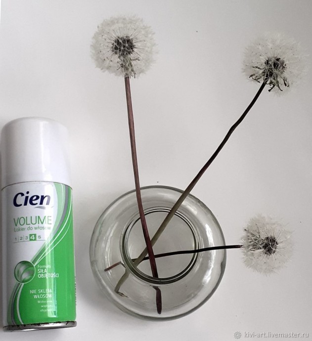 Одуванчиковое счастье