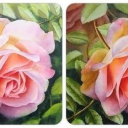 Учимся рисовать розу акварелью