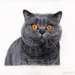 ​Серьезный британец