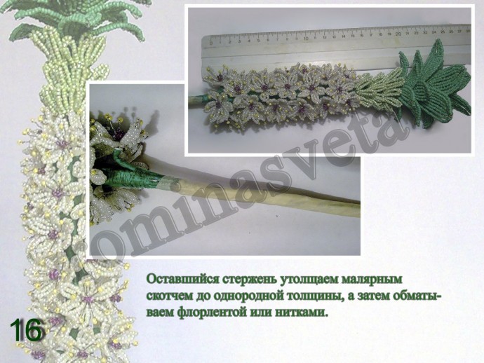 ​Восхитительный эукомис