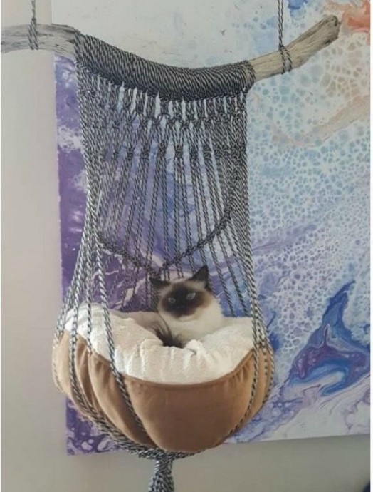 Интересные поделки для счастья кошек