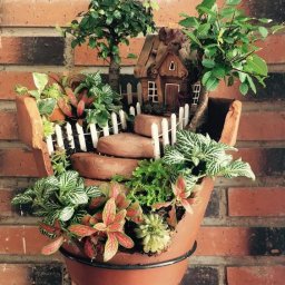 Композиции в разбитых цветочных горшках