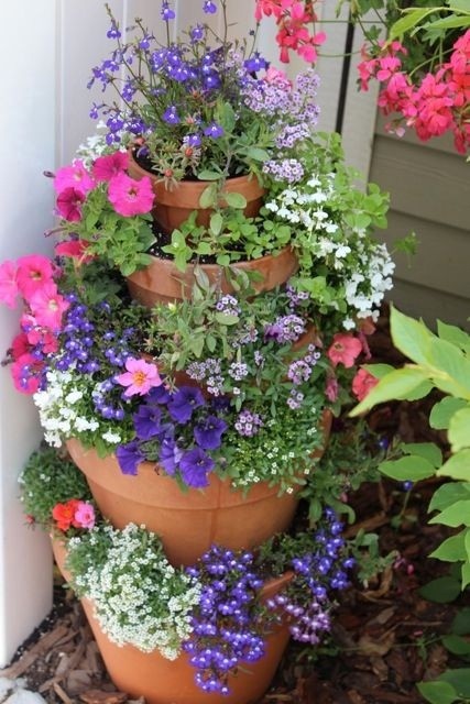 Горшечные композиции: идеи для дачи