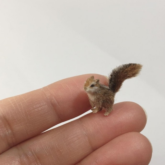 Невероятные миниатюры питомцев