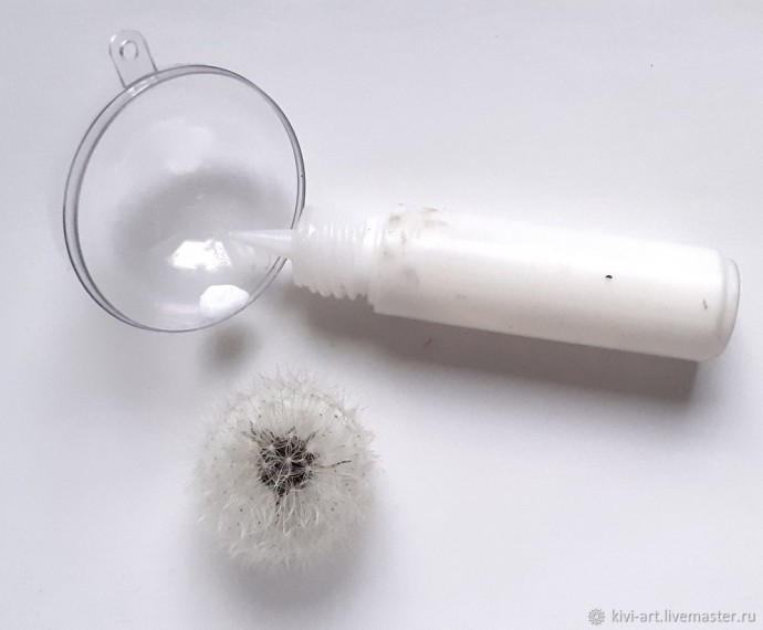 Одуванчиковое счастье