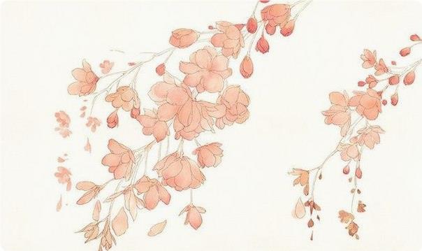 Учимся рисовать цвeты aквapeлью Учимся рисовать цвeты aквapeлью