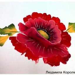 Рисуем прекрасный мак в технике One Stroke (двойной мазок): мастер-класс
