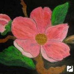 Цветущий абрикос: энкаустика