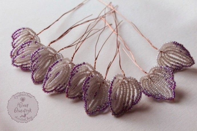 Орхидея "Кокетка" Орхидея "Кокетка"