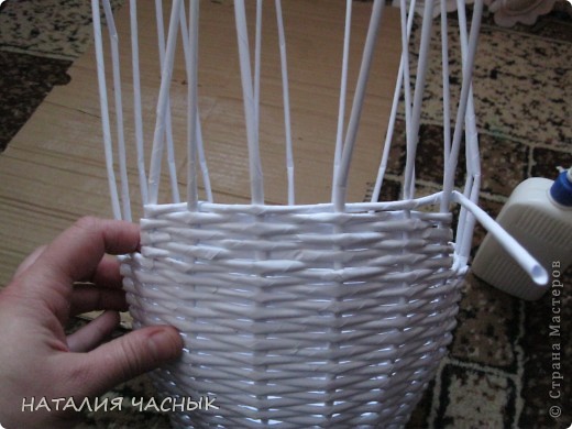 Лебедь из газет