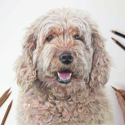 Невероятные рисунки карандашом: идеи для вдохновения