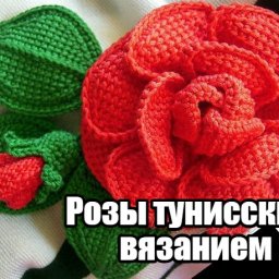​Розы тунисским вязанием