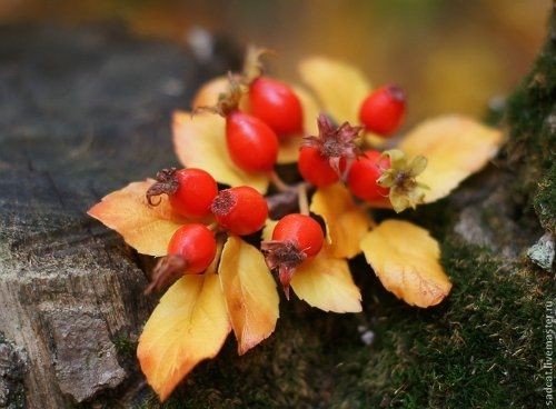 Веточка шиповника из полимерной глины: мастер-класс