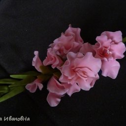 Гладиолус как живой