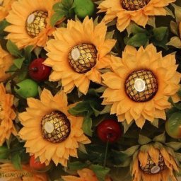 Сладкие подсолнухи