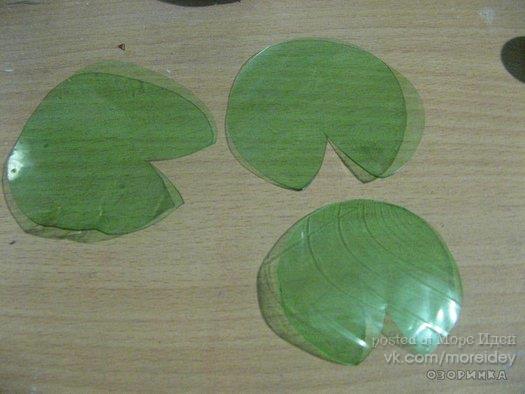 Кувшинки для садового пруда