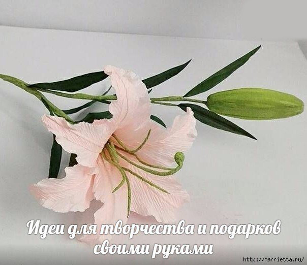 Нежная лилия в пастельных тонах