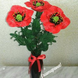 ​Роскошные маки