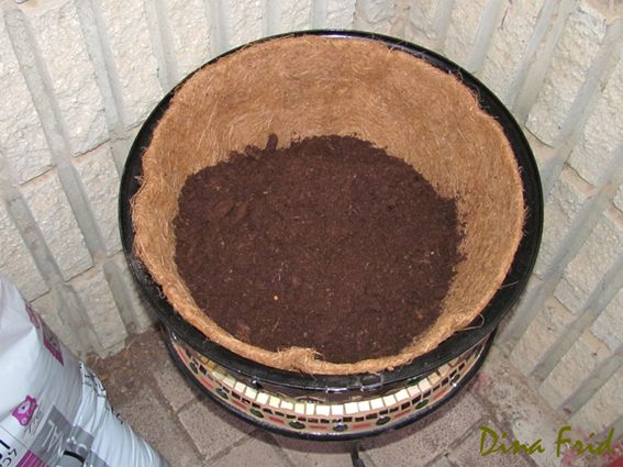 Вазоны для цветов