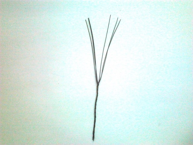 Герань из бисера Герань из бисера