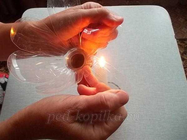 Цветы из пластиковых бутылок