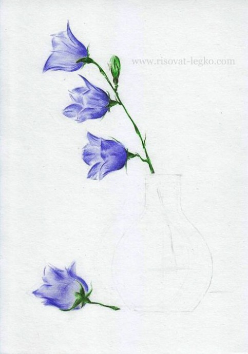 Очень нежный натюрморт цветными карандашами