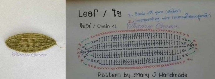 ​Орхидея крючком