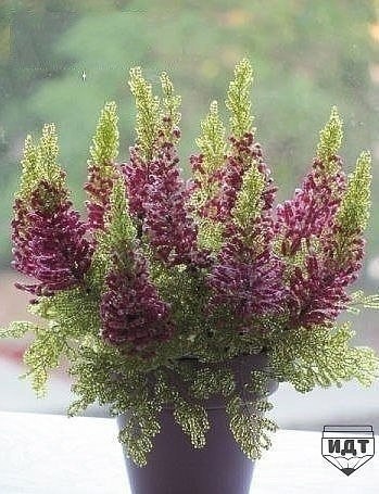 Красивая композиция из бисера на проволочном каркасе Красивая композиция из бисера на проволочном каркасе