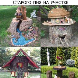 Что можно сделать из старого пня для дачи