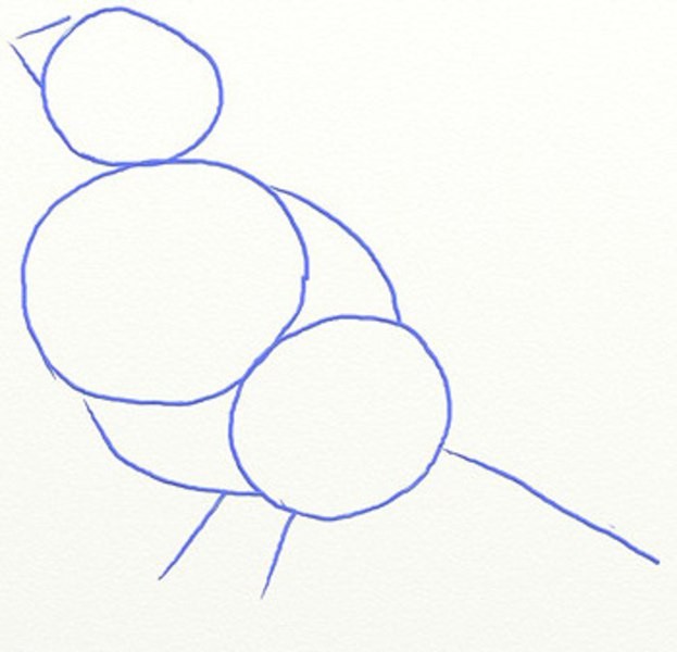 Рисуем красивого снегиря