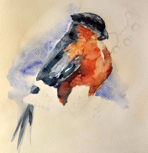 Рисуем снегиря