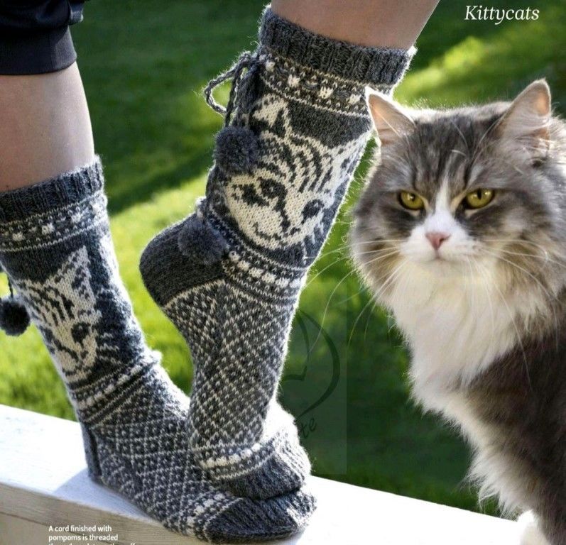 Вяжем носки с котиками