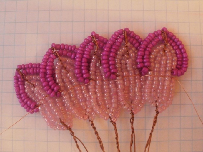 Бонсай адениум: мастер-класс