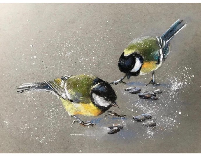 Урок рисования цветными карандашами: синички