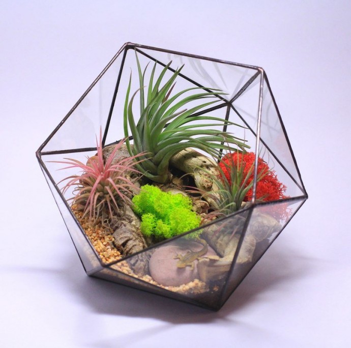 Мини-сад за стеклом: идеи необычных флорариумов