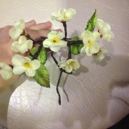 Веточка сакуры