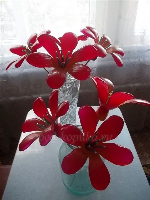 Цветы из пластиковых бутылок
