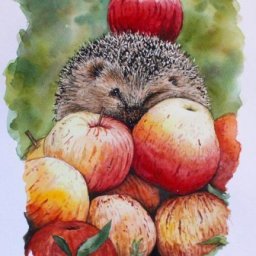 Рисуем осеннего сытого ёжика