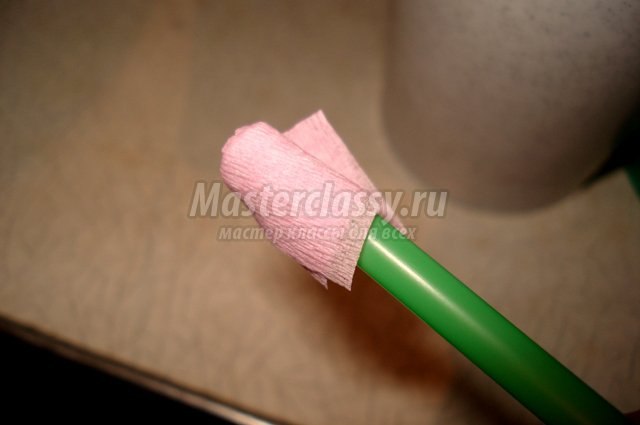 Топиарий "Девичьи грёзы"