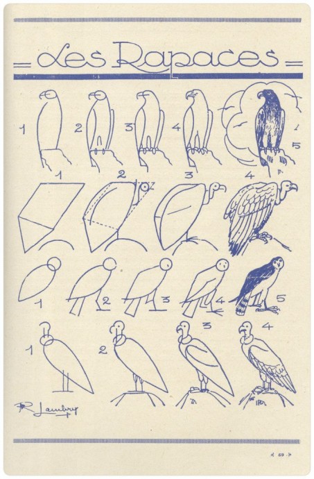 Учимся рисовать птиц с нуля