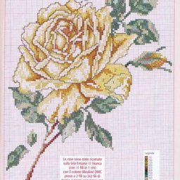 ​Вышиваем розы крестиком