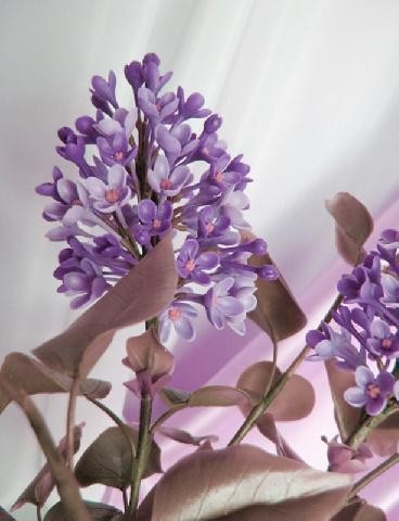 Букет сирени из холодного фарфора