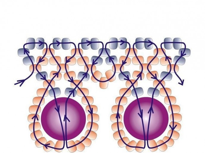 Красивые ожерелья из бусин и бисера Красивые ожерелья из бусин и бисера