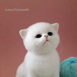 Вдохновляющие идеи котиков, сваляных из шерсти