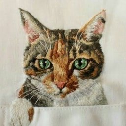 Вышивка на рубашках котиков и собачек: идеи