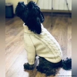 Свитер для собачки