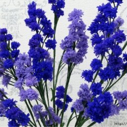 ​Мелкие цветочки из капрона