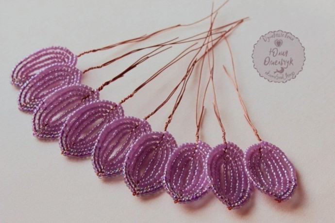 Орхидея "Кокетка" Орхидея "Кокетка"